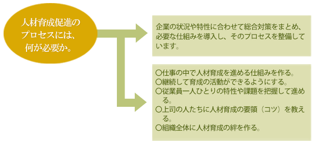 人材育成プロセスの概要